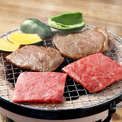 飛騨牛A5等級 焼肉用 400g (ロース)