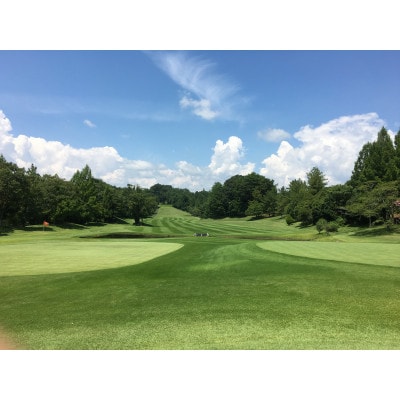 伊深の森 カントリー クラブ 利用券(3,000円券×1枚)M12S82