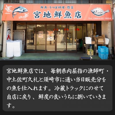 宮地鮮魚店 かつおのたたき 麦藁焼 【冷蔵】(約600～700g) 5～6ヶ月程度で発送