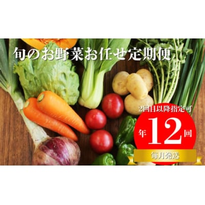 【年12回】高知から直送!旬の季節のお野菜セット(7~9品)2回目以降着日指定可能 産地直送
