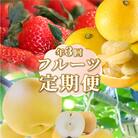 (全3回)佐川町産フルーツ 定期便R5 いちご 文旦 梨