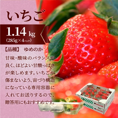 (全3回)佐川町産フルーツ 定期便R5 いちご 文旦 梨