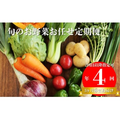 【年4回】高知から直送!旬の季節のお野菜定期便(7~9品)2回目以降着日指定可能 産地直送 