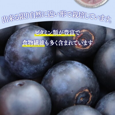 ブルーベリー(冷凍)1.4kg  佐川町産 <2～5ヶ月程度で発送>