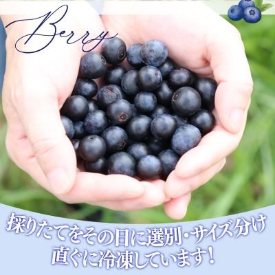 ブルーベリー(冷凍)1kg  佐川町産 <2～5ヶ月程度で発送>