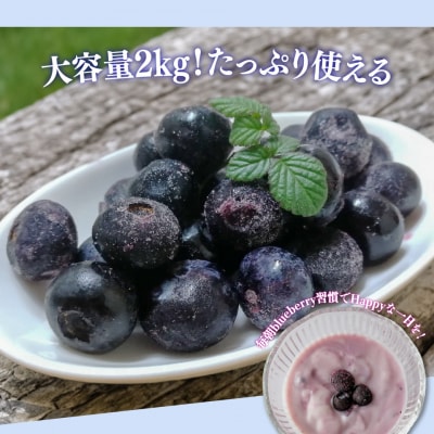 冷凍ブルーベリー計2kg 佐川町産<2～5ヶ月程度て発送>