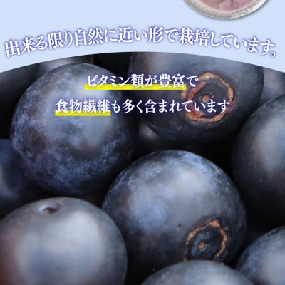 冷凍ブルーベリー計2kg 佐川町産<2～5ヶ月程度て発送>