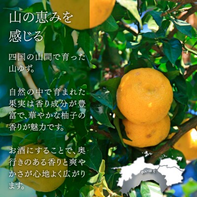 司牡丹酒造 山柚子搾り ゆずの酒 720ml×3本 【リキュール】果実酒