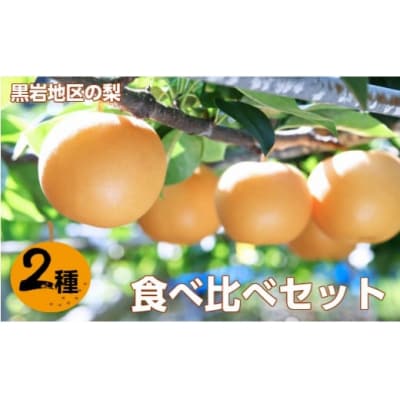 <2025年秋発送 先行受付中!>佐川の梨 2種 食べ比べセット  定期便