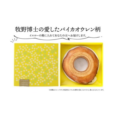 佐川町から直送!ごちそうバウム【ハード】1個 バームクーヘン