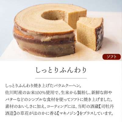 【計2個入り】牧野博士のふるさとから直送!ごちそうバウム【ソフト・ハード】各1個 バームクーヘン