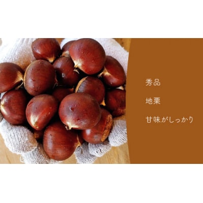 夢甘栗 秀品 高級生栗 約1kg<2026年10月中旬以降発送予定>