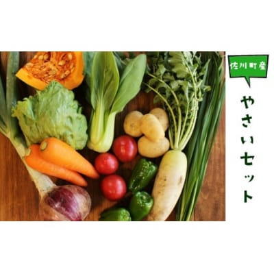 高知から直送!旬の季節のお野菜セット(7~9品)