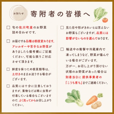 【年6回】高知から直送!旬の季節のお野菜定期便(7~9品)