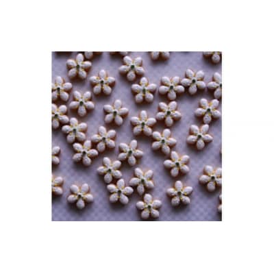 <令和8年2月末まで受付け!>クッキー缶(12×12cm)1缶 バイカオウレン アイシングクッキー