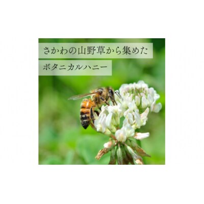 【160g×2瓶】国産 純粋 はちみつ 無添加 百花蜜