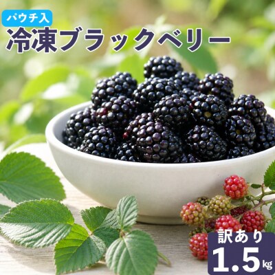 <【加工用・訳あり】冷凍ブラックベリー約1.5kg>家庭用 国産 MIYAMOTOFARM