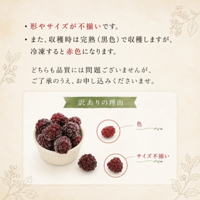 <【加工用・訳あり】冷凍ブラックベリー約1.5kg>家庭用 国産 MIYAMOTOFARM