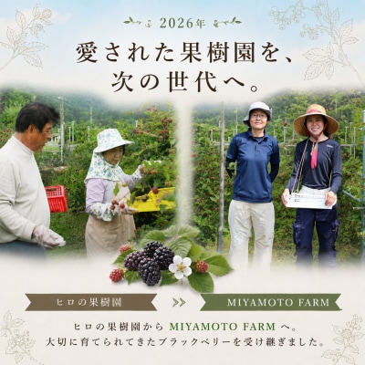 <【加工用・訳あり】冷凍ブラックベリー約1.5kg>家庭用 国産 MIYAMOTOFARM