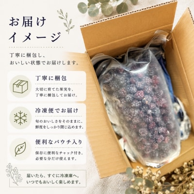 <【加工用・訳あり】冷凍ブラックベリー約1.5kg>家庭用 国産 MIYAMOTOFARM