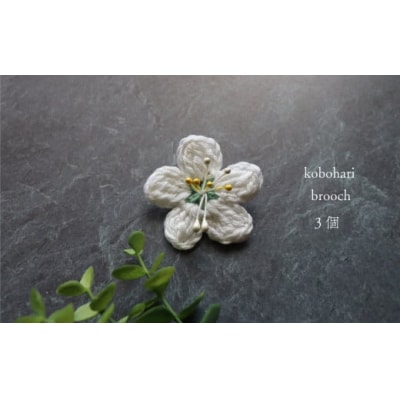 yu[` 3zoCJIẼnhChANZT[