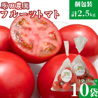 〈2025年12月下旬～順次発送〉秀品フルーツトマト 個包装 1袋250g×10袋