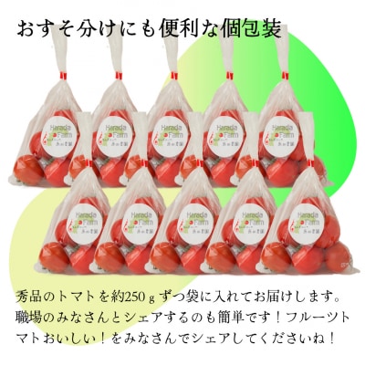 〈2025年12月下旬～順次発送〉秀品フルーツトマト 個包装 1袋250g×10袋