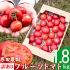 〈2025年12月下旬～順次発送〉訳あり フルーツトマト 約1.8kg 原田農園