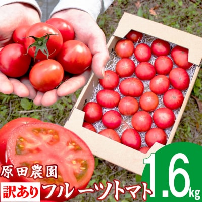 〈2026年12月下旬～順次発送〉訳あり フルーツトマト 約1.6kg 原田農園