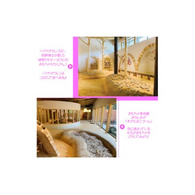 佐川おもちゃ美術館 (大人・こども共通) 特別招待券 2枚 (1枚につき1名入館可能) 2名分