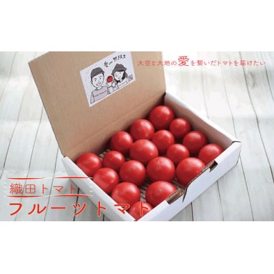 <2027年1月頃～発送> フルーツトマト 織田トマト 【約1kg】 