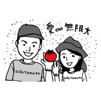 <2027年1月頃～発送> フルーツトマト 織田トマト 【約1kg】 