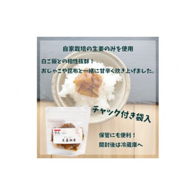 【日本酒720ml2本+生姜佃煮2袋】おつまみセット