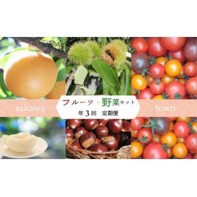 【年3回】フルーツ・野菜定期便 梨・栗・高濃度トマト