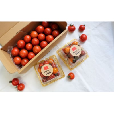 【年3回】フルーツ・野菜定期便 梨・栗・高濃度トマト