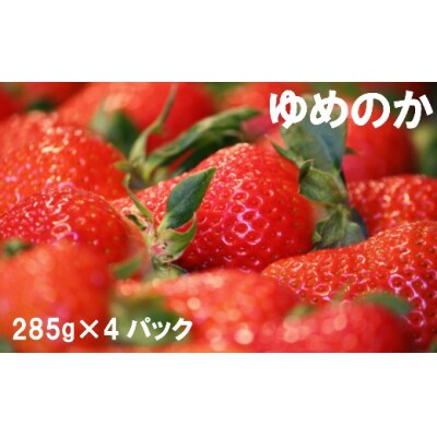 苺ゆめのか 285g×4パック【期間・数量限定】<2025年1月下旬～3月下旬頃発送予定>