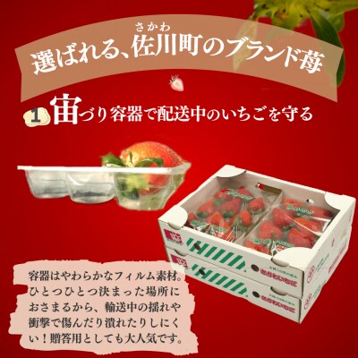 苺ゆめのか 285g×4パック【期間・数量限定】<2026年1月下旬～3月下旬頃発送予定>