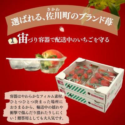 苺ゆめのか 250g×4パック【期間・数量限定】<2027年1月下旬～3月下旬頃発送予定>
