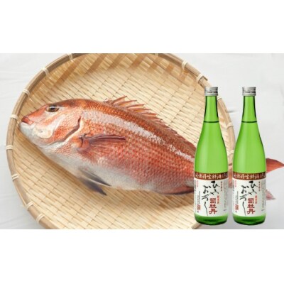 【年4回】鮮魚・日本酒(司牡丹酒造)定期便