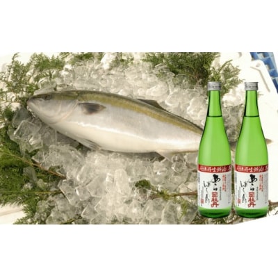 【年4回】鮮魚・日本酒(司牡丹酒造)定期便