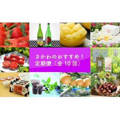 佐川のおすすめ!定期便(全10回)