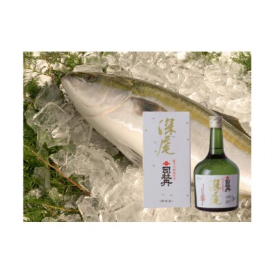 【年4回】鮮魚・日本酒(吟醸酒)定期便