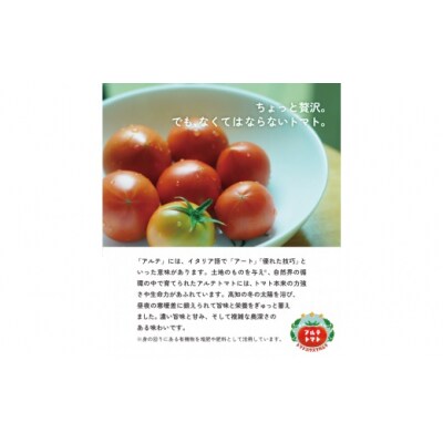 〈2026年1月より順次発送〉アルテトマト 約1.6kg(約800g×2箱) フルーツトマト