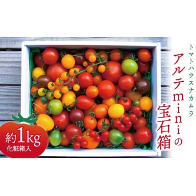 〈2026年1月より順次発送〉アルテminiの宝石箱 約1kg×1箱 フルーツトマト