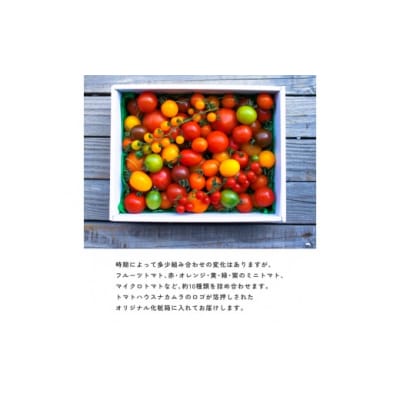 〈2026年1月より順次発送〉アルテminiの宝石箱 約1kg×1箱 フルーツトマト