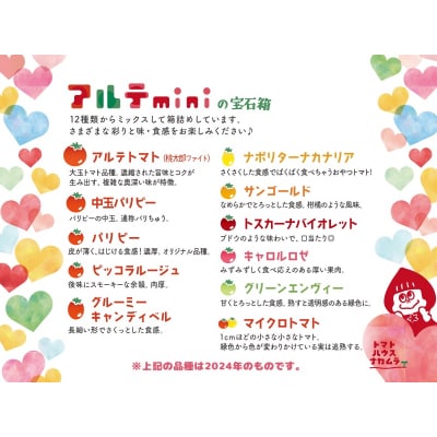 〈2026年1月より順次発送〉アルテminiの宝石箱 約1kg×1箱 フルーツトマト