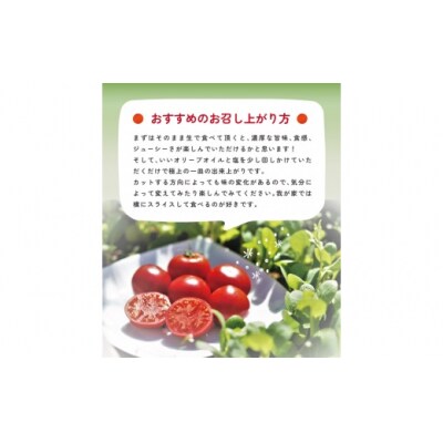 【2025年1月～発送】アルテトマト 約1.6kg(約800g×2箱)×3回定期便 フルーツトマト 
