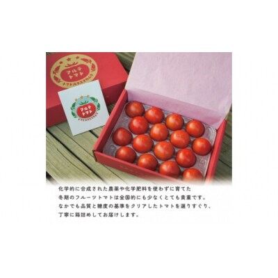 【2025年1月～発送】アルテトマト 約1.6kg(約800g×2箱)×3回定期便 フルーツトマト 