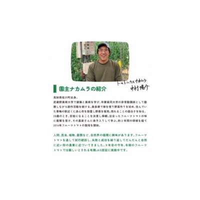 【2025年1月～発送】アルテトマト 約1.6kg(約800g×2箱)×3回定期便 フルーツトマト 