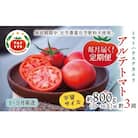 〈2026年1月より発送〉【3回定期便】アルテトマト 約800g(10‐16玉)×3箱